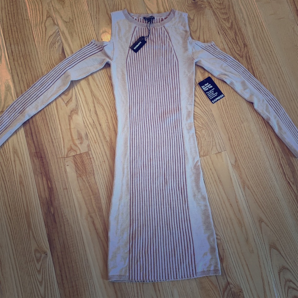 Express Sz Med Sweater Dress